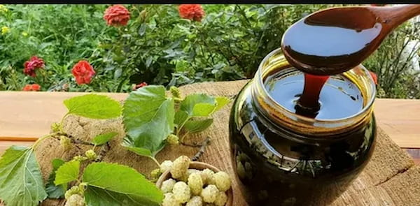 تصویر 5 از قیمت شیره انگور اصلی + خرید باور نکردنی
